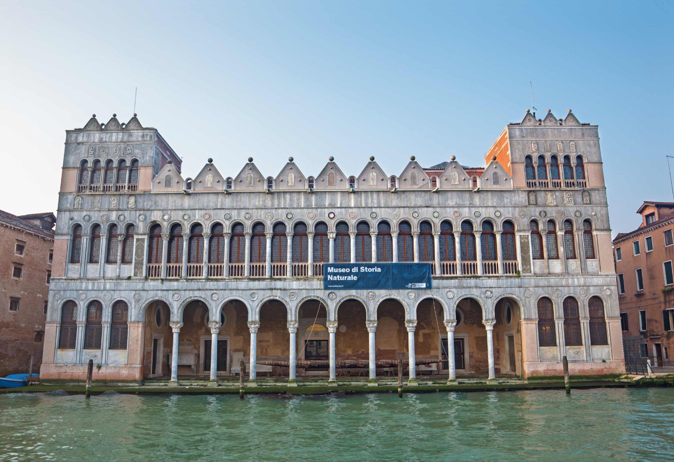 museo de historia natural venecia